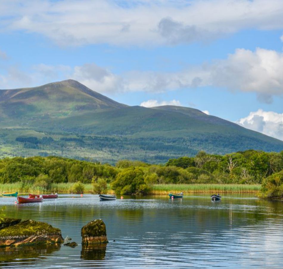 2 Bed and Breakfast and 1 Dinner