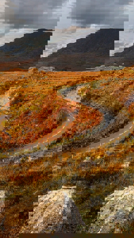 Road To Molls Gap, Co Kerry 