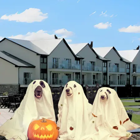 Copy Of Sneem Hotel Halloween 6 1