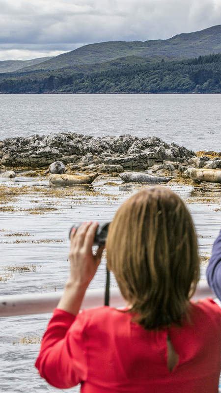 Seal Watching On Kenmare Bay, Co Kerry Web Size