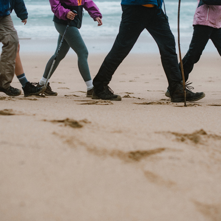 Celtic Nature Walking Tours, Dingle Peninsula, Co Kerry Master