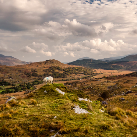 Black Valley, Kenmare To Killarney Road, Co Kerry